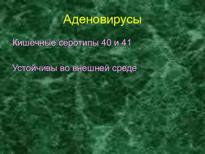 Аденовирусы Кишечные серотипы 40 и 41 Устойчивы во внешней среде