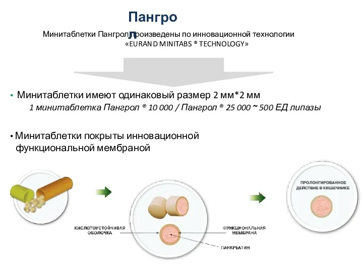 Минитаблетки Пангрол произведены по инновационной технологии «EURAND MINITABS ® TECHNOLOGY»
