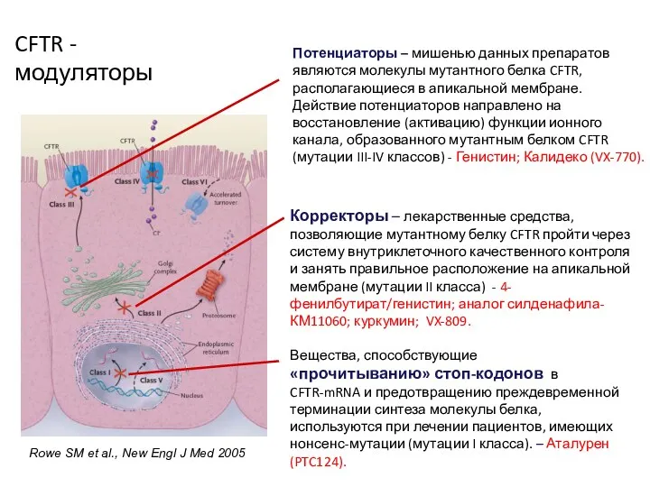 Rowe SM et al., New Engl J Med 2005 Потенциаторы