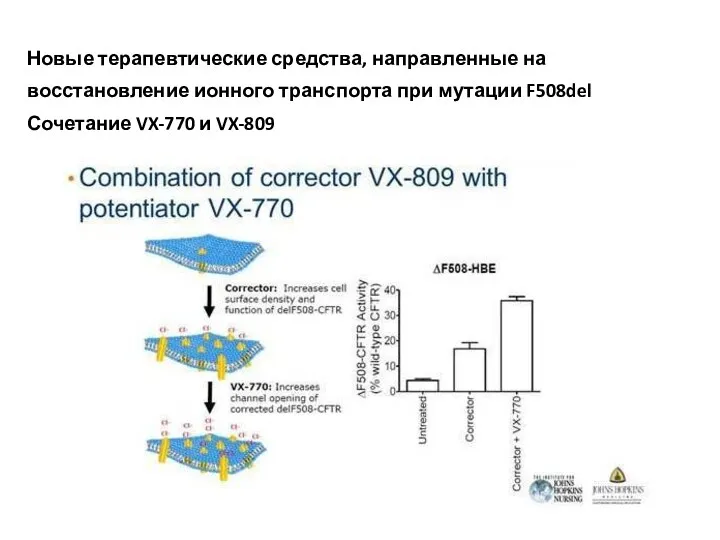 Новые терапевтические средства, направленные на восстановление ионного транспорта при мутации F508del Сочетание VX-770 и VX-809