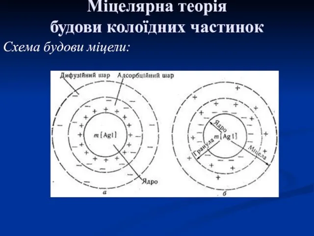 Міцелярна теорія будови колоїдних частинок Схема будови міцели: