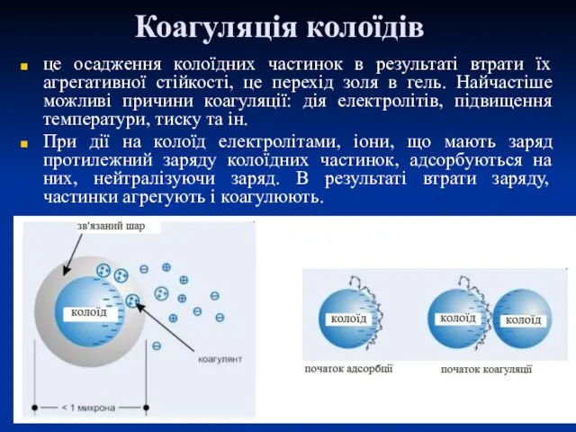 Коагуляція колоїдів це осадження колоїдних частинок в результаті втрати їх