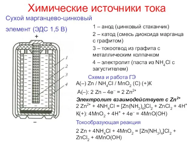 Химические источники тока Сухой марганцево-цинковый элемент (ЭДС 1,5 В) А(–)