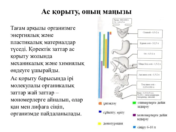 Ас қорыту, оның маңызы Тағам арқылы организмге энергиялық және пластикалық материалдар түседі. Қоректік