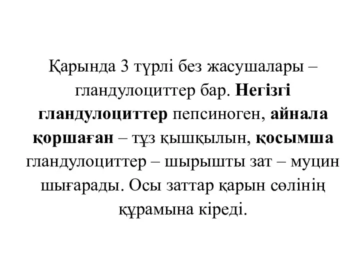 Қарында 3 түрлі без жасушалары – гландулоциттер бар. Негізгі гландулоциттер