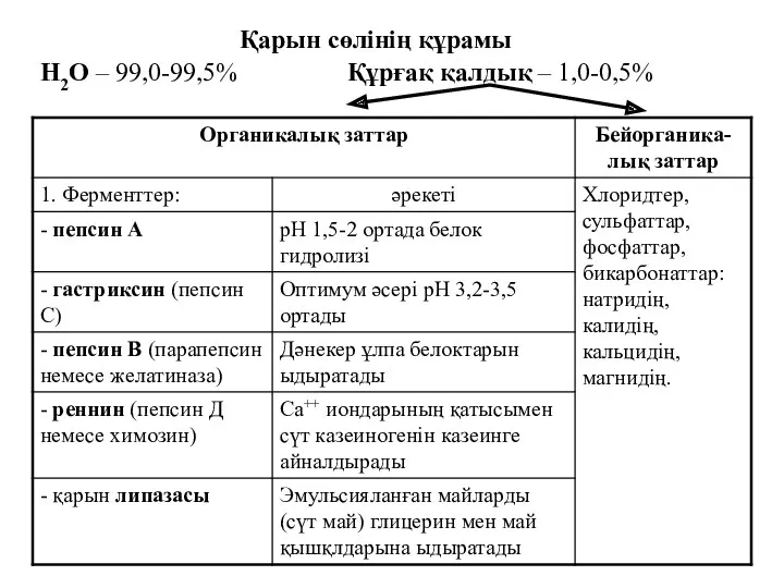 Қарын сөлінің құрамы Н2О – 99,0-99,5% Құрғақ қалдық – 1,0-0,5%