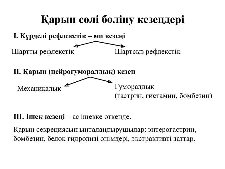 Қарын сөлі бөліну кезеңдері I. Күрделі рефлекстік – ми кезеңі III. Ішек кезеңі