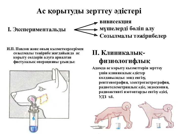 Ас қорытуды зерттеу әдістері И.П. Павлов және оның қызметкерлерімен созылмалы