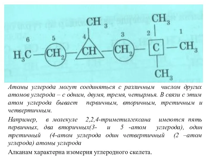 Атомы углерода могут соединяться с различным числом других атомов углерода