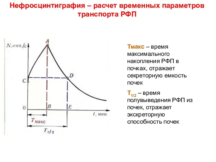 Нефросцинтиграфия – расчет временных параметров транспорта РФП Тмакс – время максимального накопления РФП