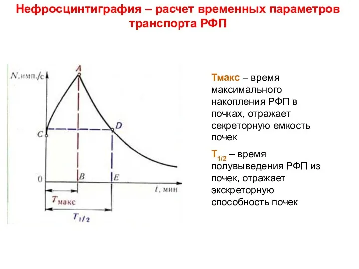 Нефросцинтиграфия – расчет временных параметров транспорта РФП Тмакс – время