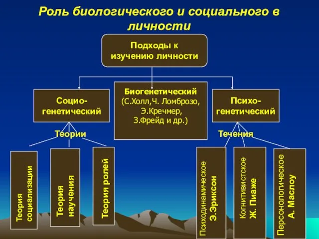 Роль биологического и социального в личности Подходы к изучению личности