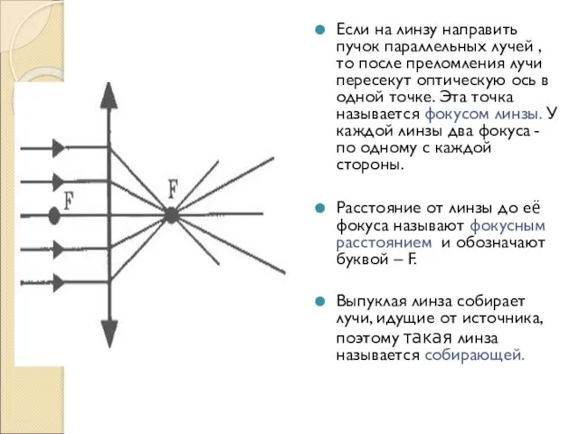 Если на линзу направить пучок параллельных лучей , то после преломления лучи пересекут