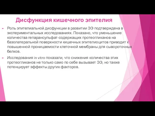 Дисфункция кишечного эпителия Роль эпителиальной дисфункции в развитии ЭЭ подтверждена в экспериментальных исследованиях.