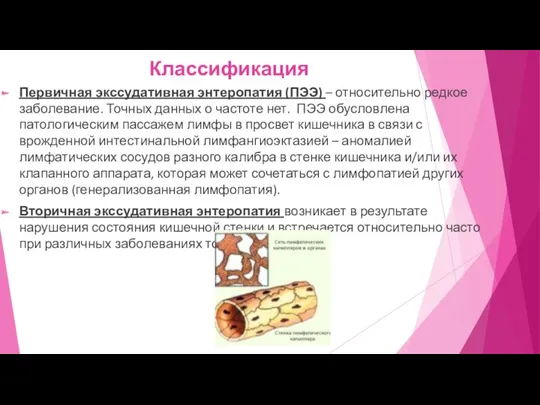 Классификация Первичная экссудативная энтеропатия (ПЭЭ) – относительно редкое заболевание. Точных данных о частоте