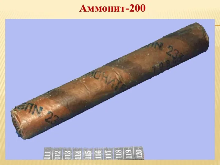 Аммонит-200