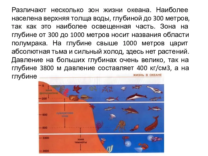 Различают несколько зон жизни океана. Наиболее населена верхняя толща воды,