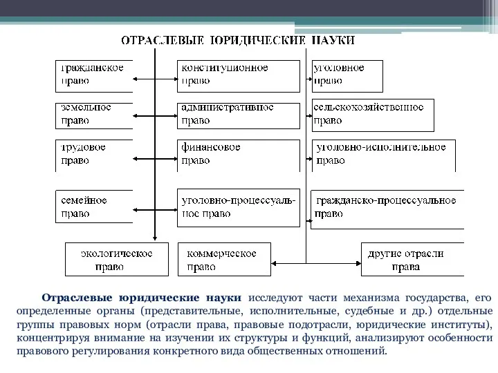 Отраслевые юридические науки исследуют части механизма государства, его определенные органы