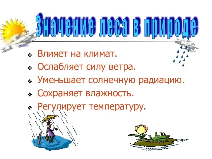 Влияет на климат. Ослабляет силу ветра. Уменьшает солнечную радиацию. Сохраняет