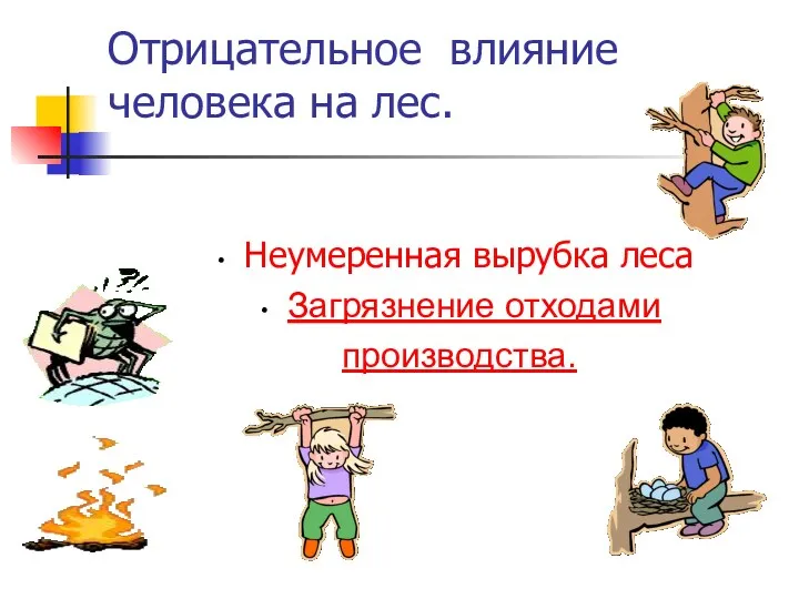 Отрицательное влияние человека на лес. Неумеренная вырубка леса. Загрязнение отходами производства.