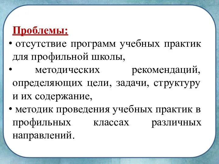 Проблемы: отсутствие программ учебных практик для профильной школы, методических рекомендаций,