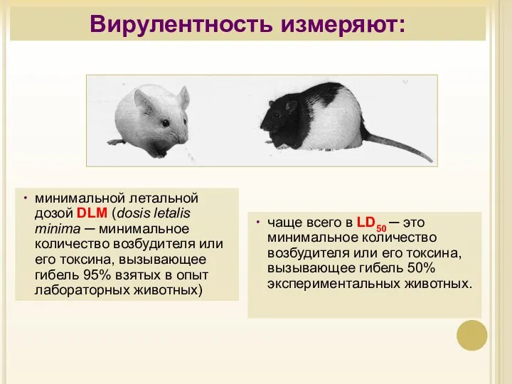 Вирулентность измеряют: минимальной летальной дозой DLM (dosis letalis minima ─