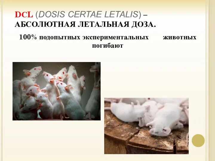 DСL (DOSIS CERTAE LETALIS) – АБСОЛЮТНАЯ ЛЕТАЛЬНАЯ ДОЗА. 100% подопытных экспериментальных животных погибают