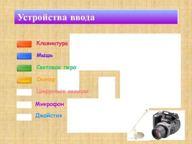 Клавиатура Мышь Микрофон Джойстик Устройства ввода Цифровые камеры Световое перо Сканер