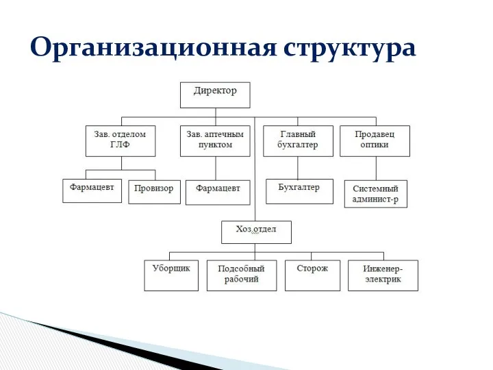 Организационная структура