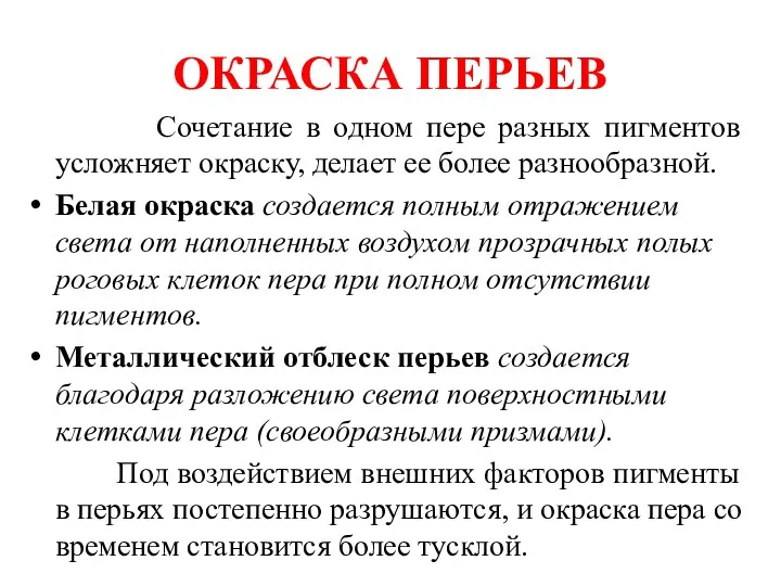 ОКРАСКА ПЕРЬЕВ Сочетание в одном пере разных пигментов усложняет окраску,