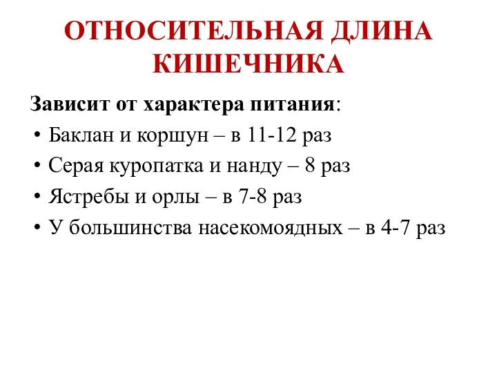 ОТНОСИТЕЛЬНАЯ ДЛИНА КИШЕЧНИКА Зависит от характера питания: Баклан и коршун