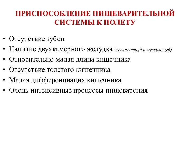 ПРИСПОСОБЛЕНИЕ ПИЩЕВАРИТЕЛЬНОЙ СИСТЕМЫ К ПОЛЕТУ Отсутствие зубов Наличие двухкамерного желудка