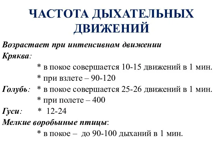 ЧАСТОТА ДЫХАТЕЛЬНЫХ ДВИЖЕНИЙ Возрастает при интенсивном движении Кряква: * в