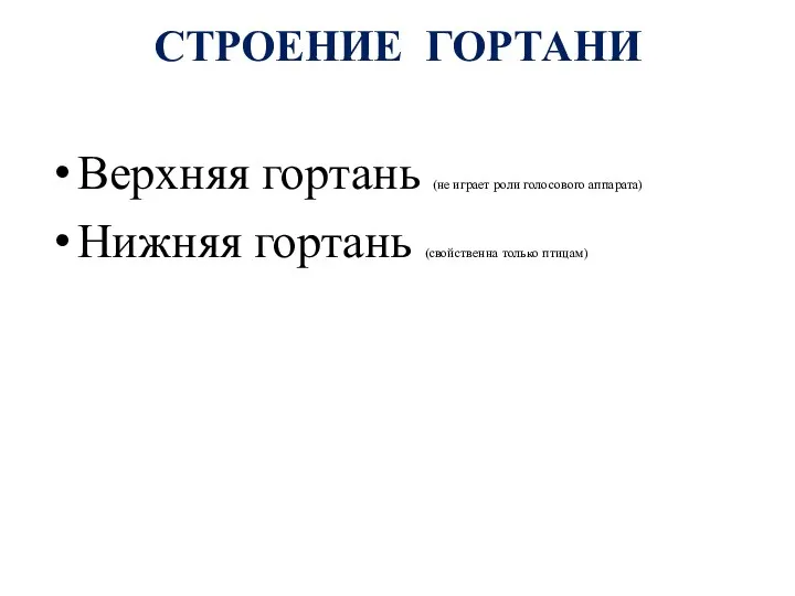 СТРОЕНИЕ ГОРТАНИ Верхняя гортань (не играет роли голосового аппарата) Нижняя гортань (свойственна только птицам)