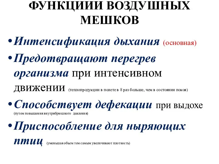 ФУНКЦИИИ ВОЗДУШНЫХ МЕШКОВ Интенсификация дыхания (основная) Предотвращают перегрев организма при