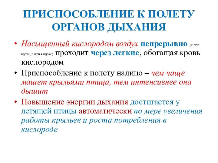 ПРИСПОСОБЛЕНИЕ К ПОЛЕТУ ОРГАНОВ ДЫХАНИЯ Насыщенный кислородом воздух непрерывно (и