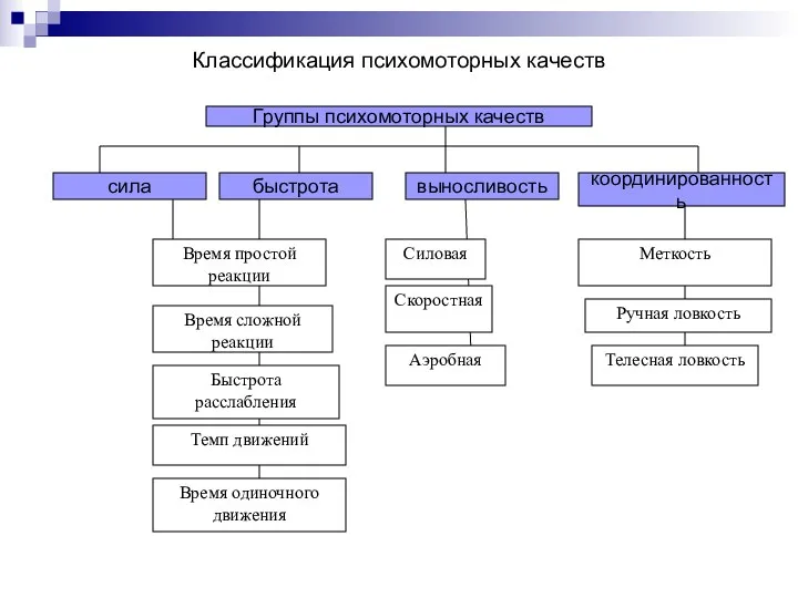 Классификация психомоторных качеств Группы психомоторных качеств сила быстрота координированность выносливость