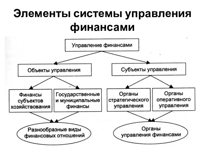 Элементы системы управления финансами