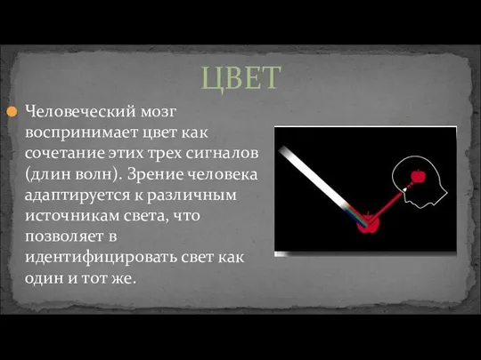 ЦВЕТ Человеческий мозг воспринимает цвет как сочетание этих трех сигналов