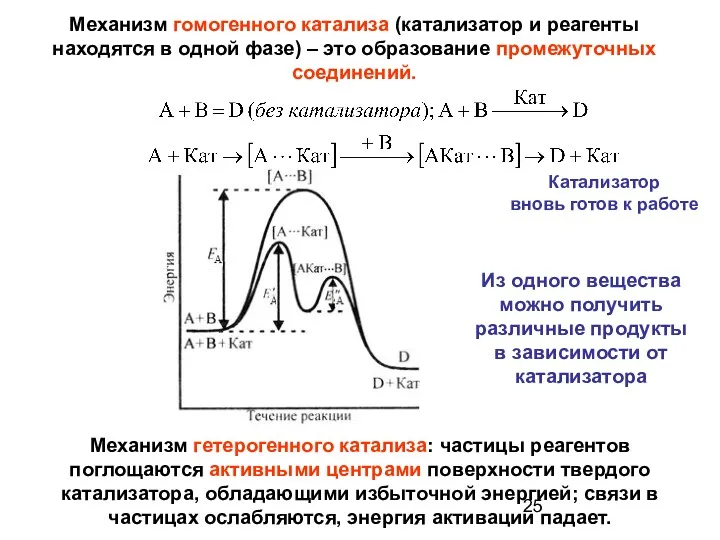 Катализатор вновь готов к работе Механизм гомогенного катализа (катализатор и