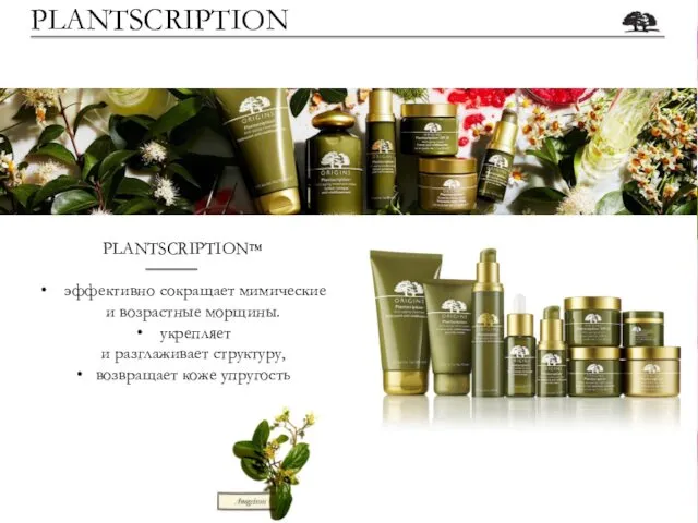 PLANTSCRIPTION™ эффективно сокращает мимические и возрастные морщины. укрепляет и разглаживает структуру, возвращает коже упругость PLANTSCRIPTION