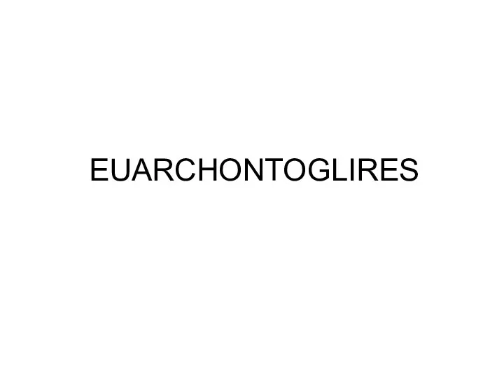 EUARCHONTOGLIRES