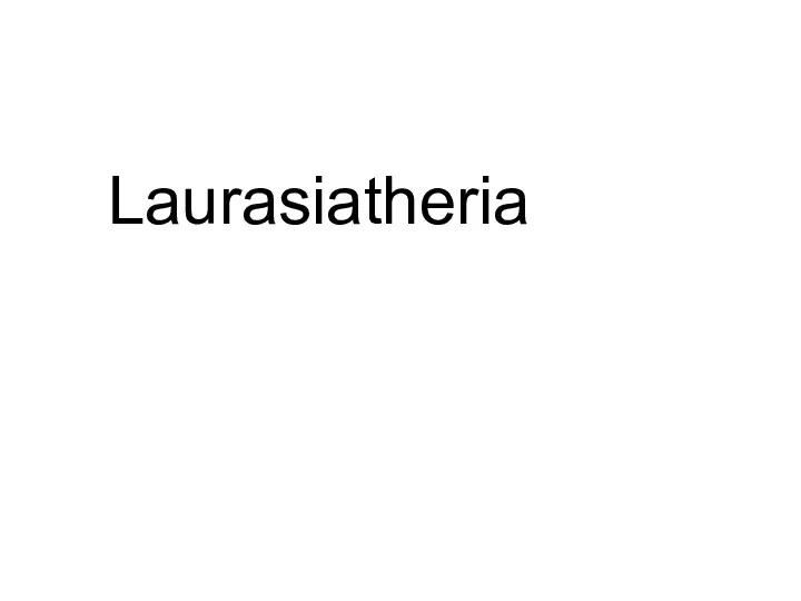 Laurasiatheria