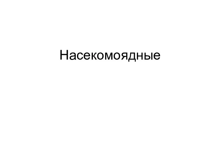 Насекомоядные