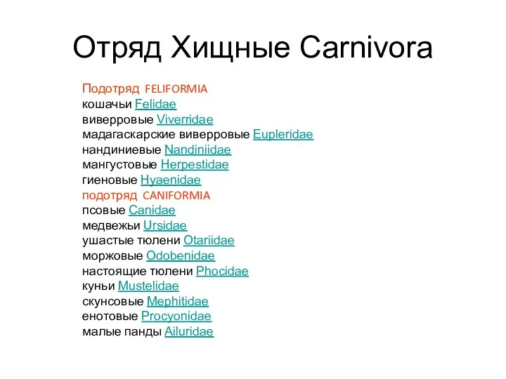 Отряд Хищные Carnivora Подотряд FELIFORMIA кошачьи Felidae виверровые Viverridae мадагаскарские