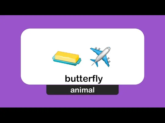 butterfly animal