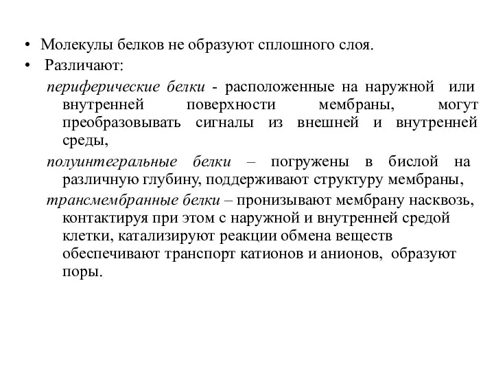 Молекулы белков не образуют сплошного слоя. Различают: периферические белки -