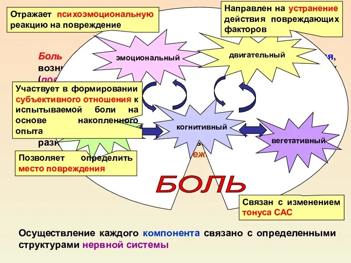 БОЛЬ Боль - это эволюционно выработанная реакция, возникающая при действии