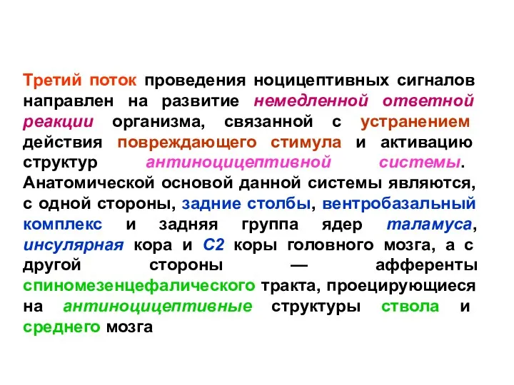 Третий поток проведения ноцицептивных сигналов направлен на развитие немедленной ответной