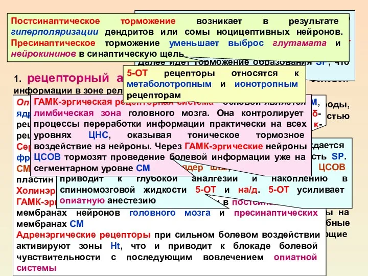 АНТИНОЦИЦЕПТИВНАЯ СИСТЕМА 1. рецепторный аппарат, участвующий в модуляции болевой информации